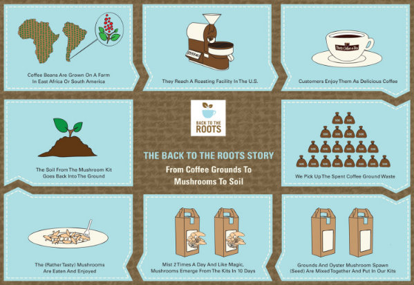 Back to the Roots mushroom kit