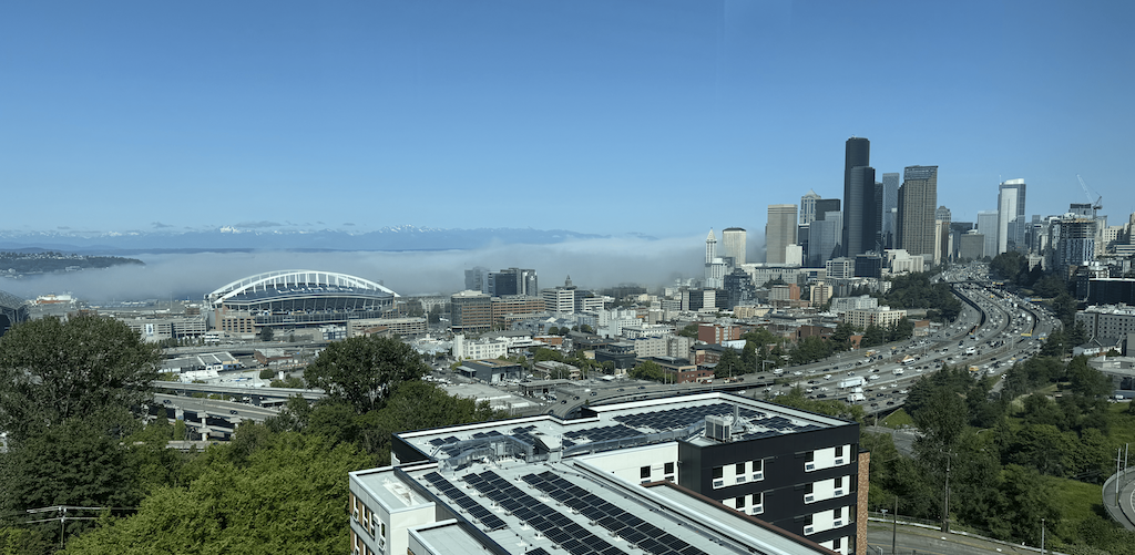 NPSP Day Seattle